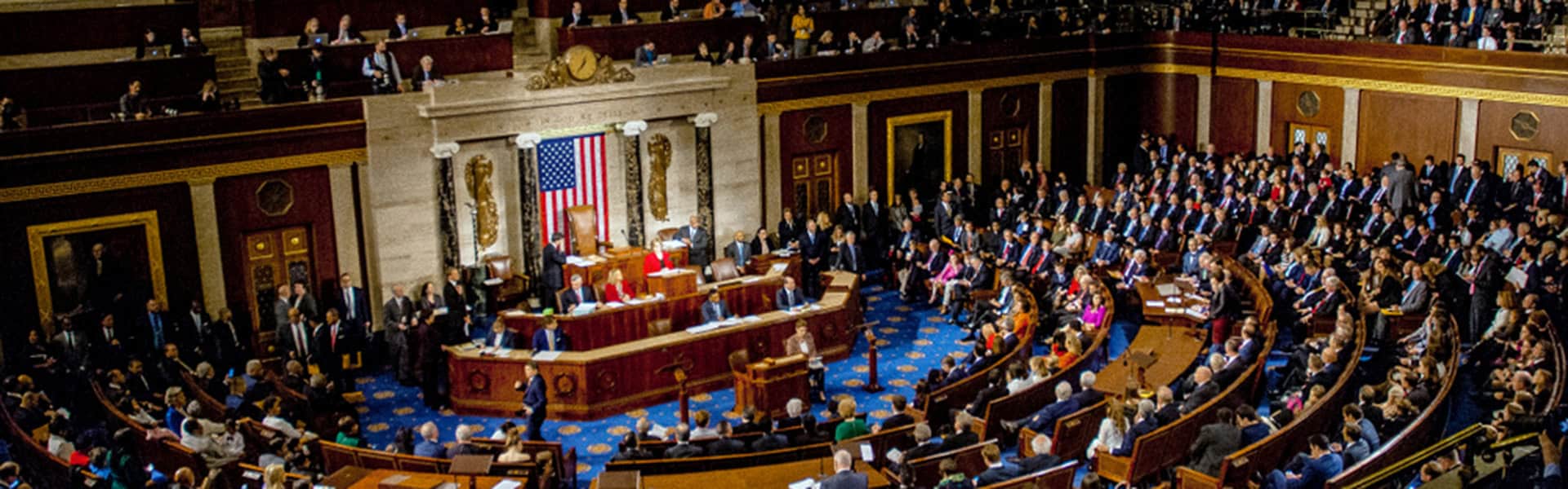 Ongoing session in the House of Representatives / shutterstock.com