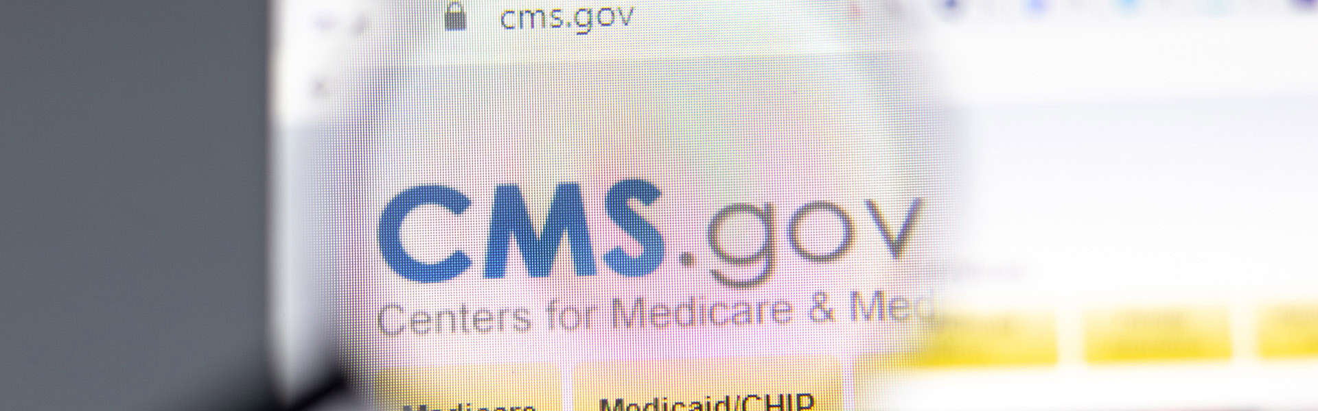CMS Centers for Medicare website in browser with company logo / shutterstock.com